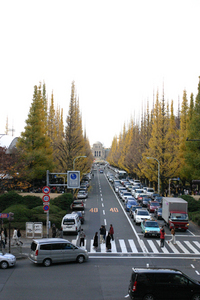 2008tenjiichou.jpg