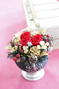 2015-02-21-013.jpg